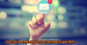 How can B2B Marketing Email Lists help to gain ROI